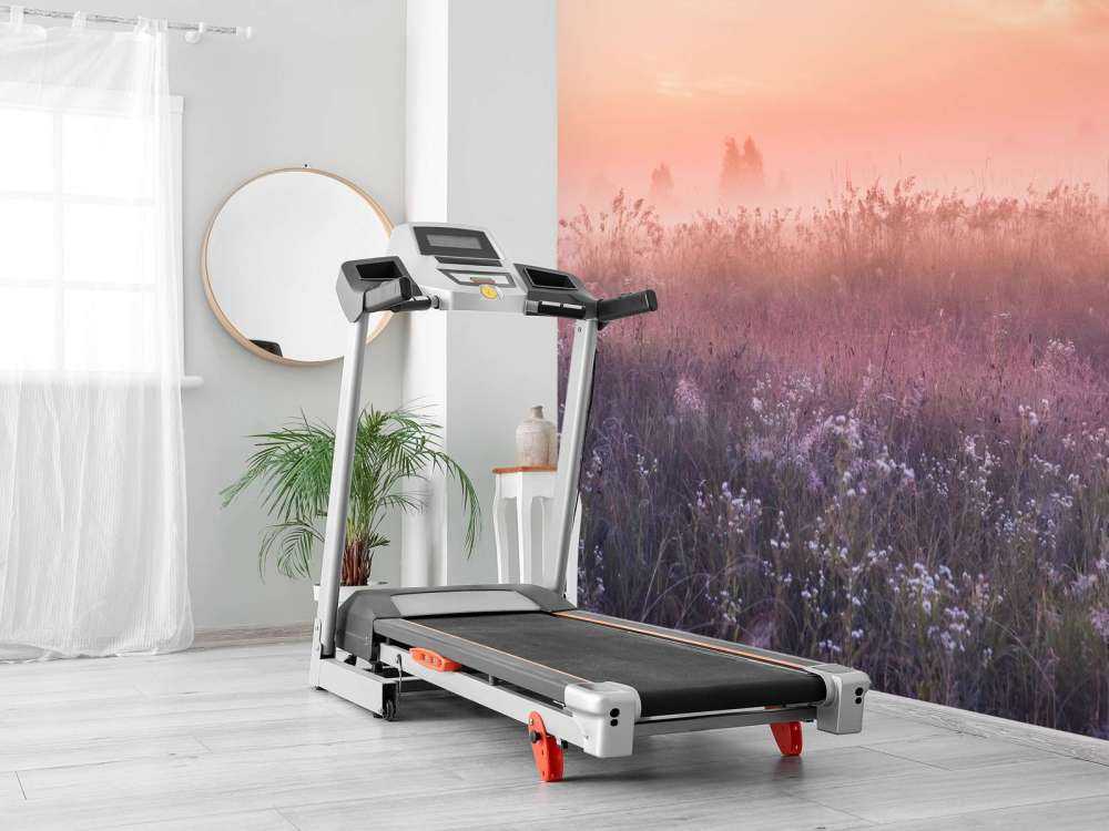 Campo con nebbia mattutina