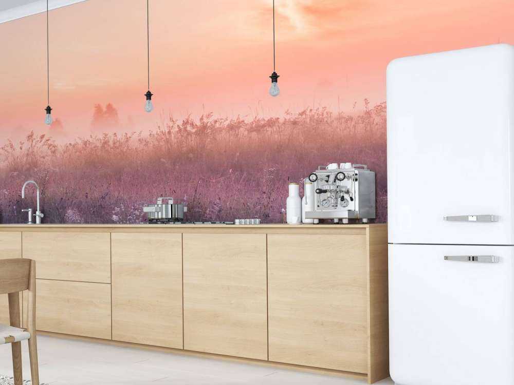 Campo con nebbia mattutina