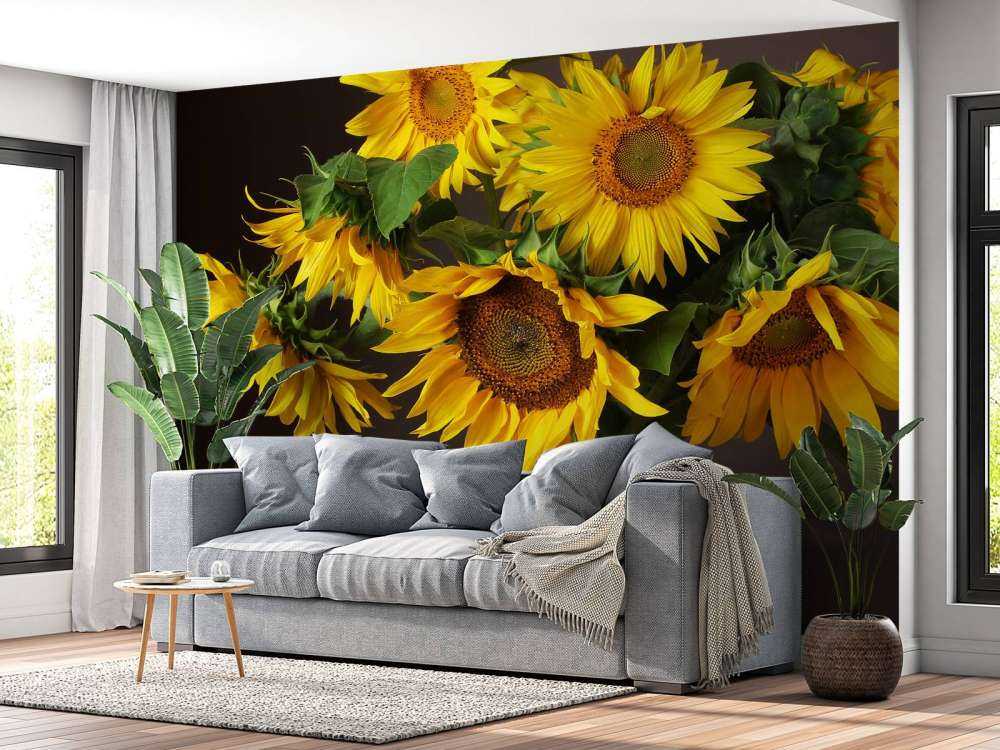 Girasoli e bacche