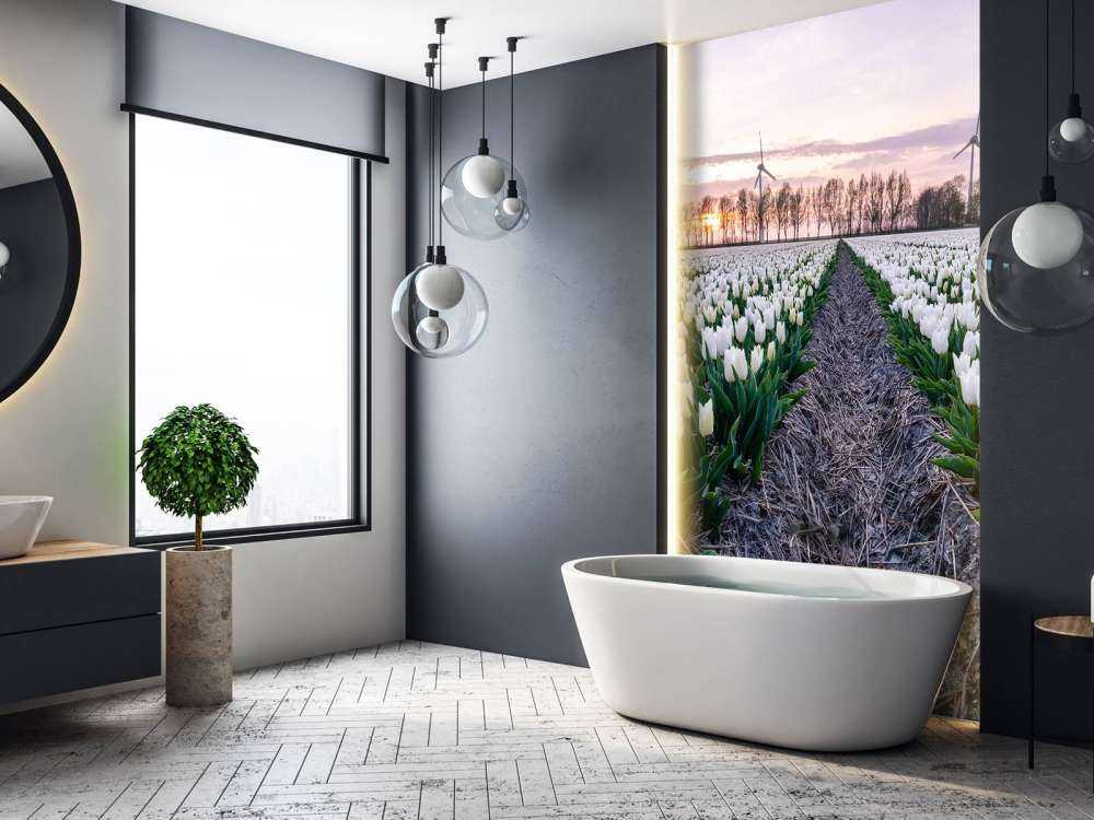 Campo di tulipani bianchi