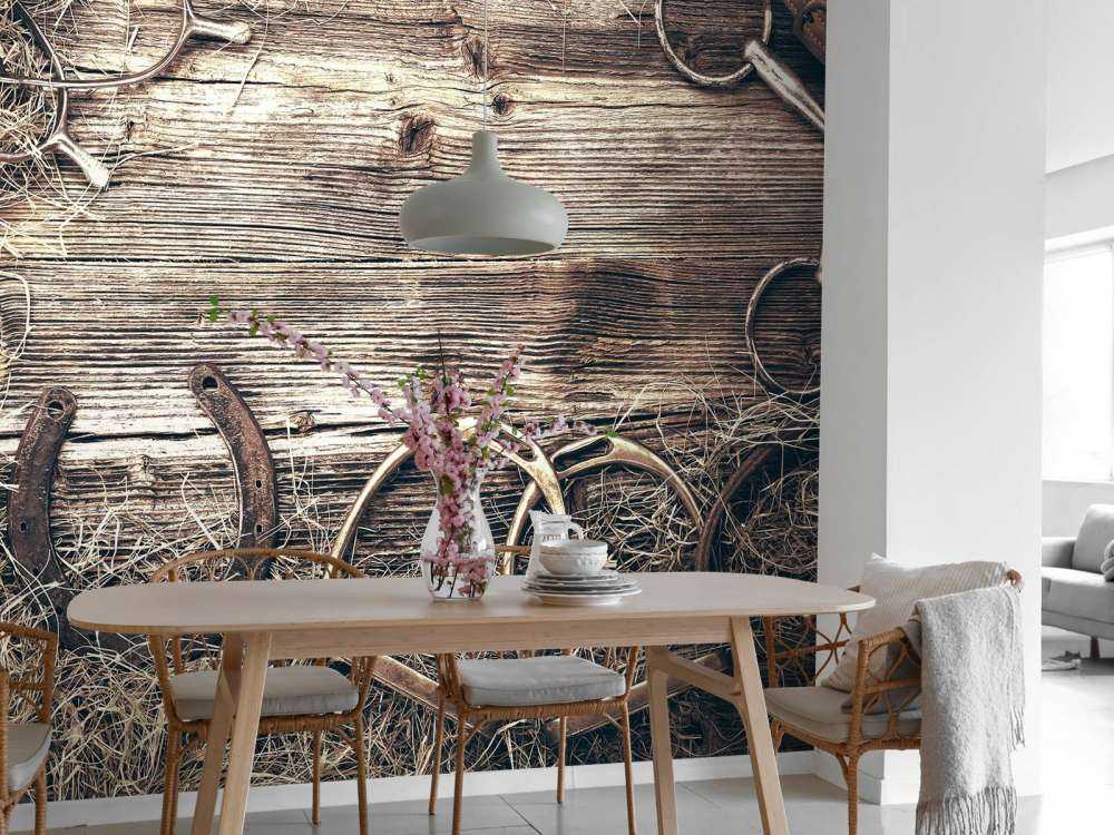 Attrezzatura per cavalli