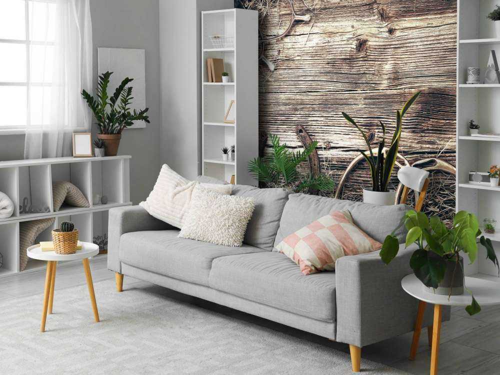 Attrezzatura per cavalli