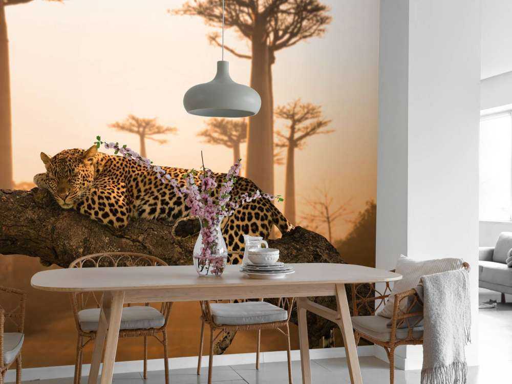 Leopardo addormentato