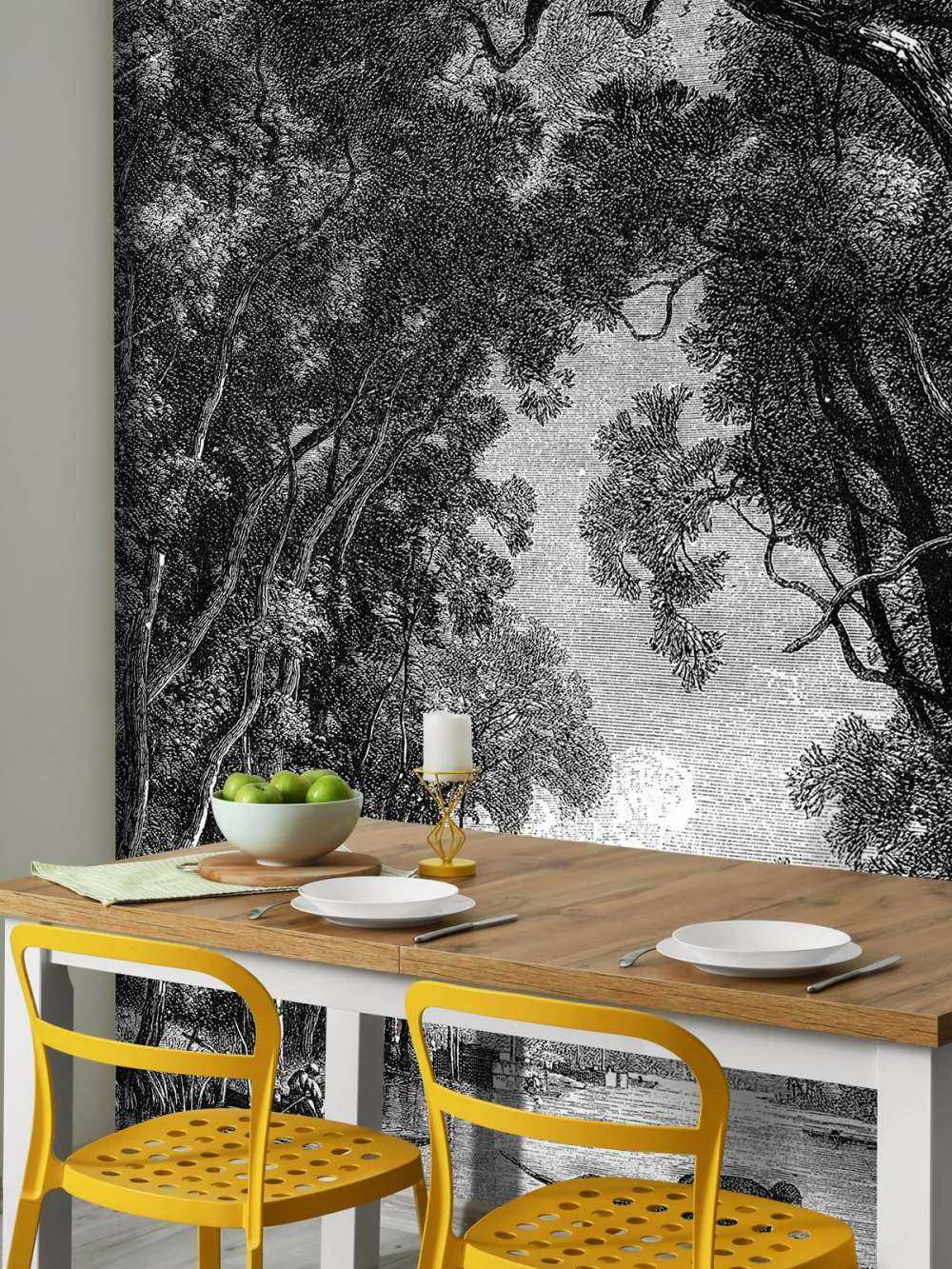 Vecchio fiume nella giungla