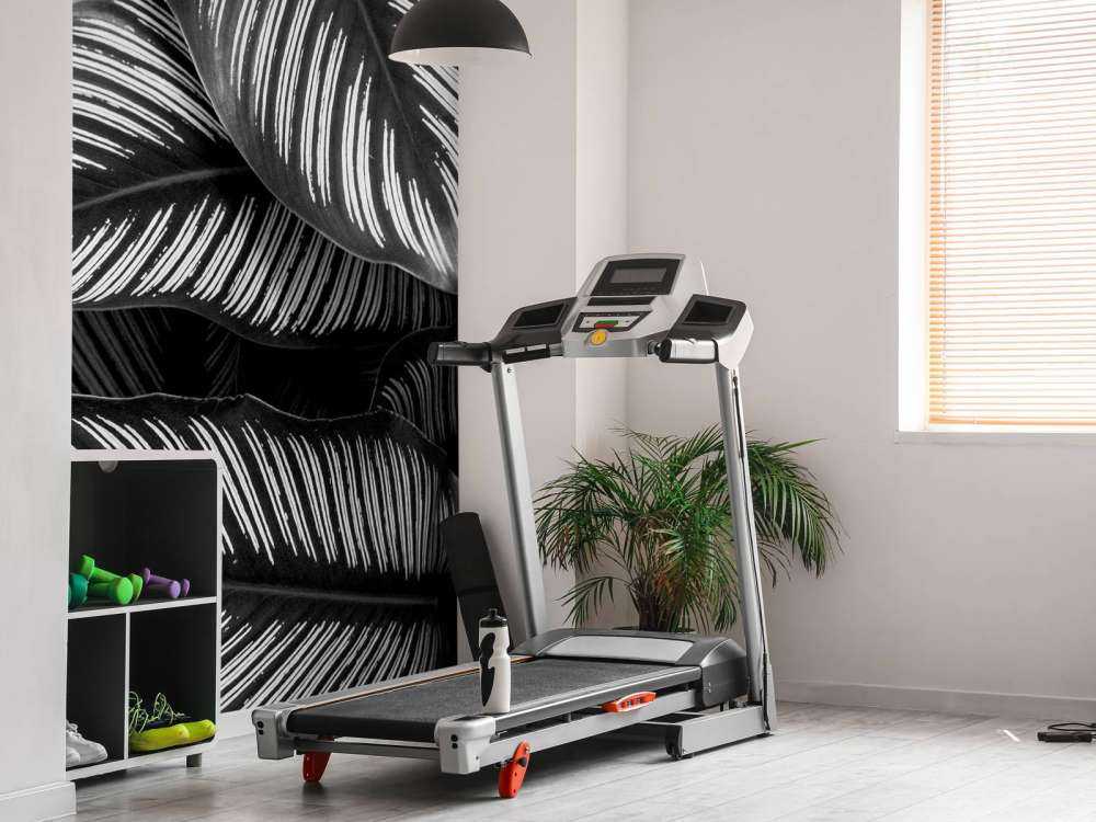 Foglie di palma bianche e nere