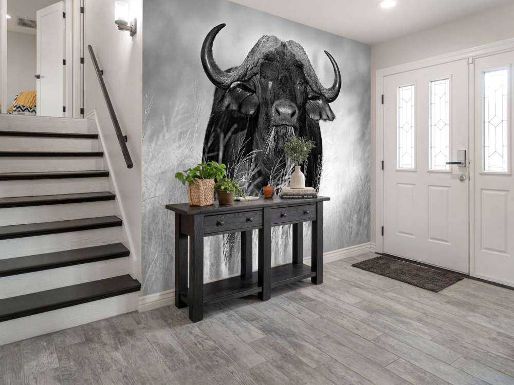 Bufalo in bianco e nero