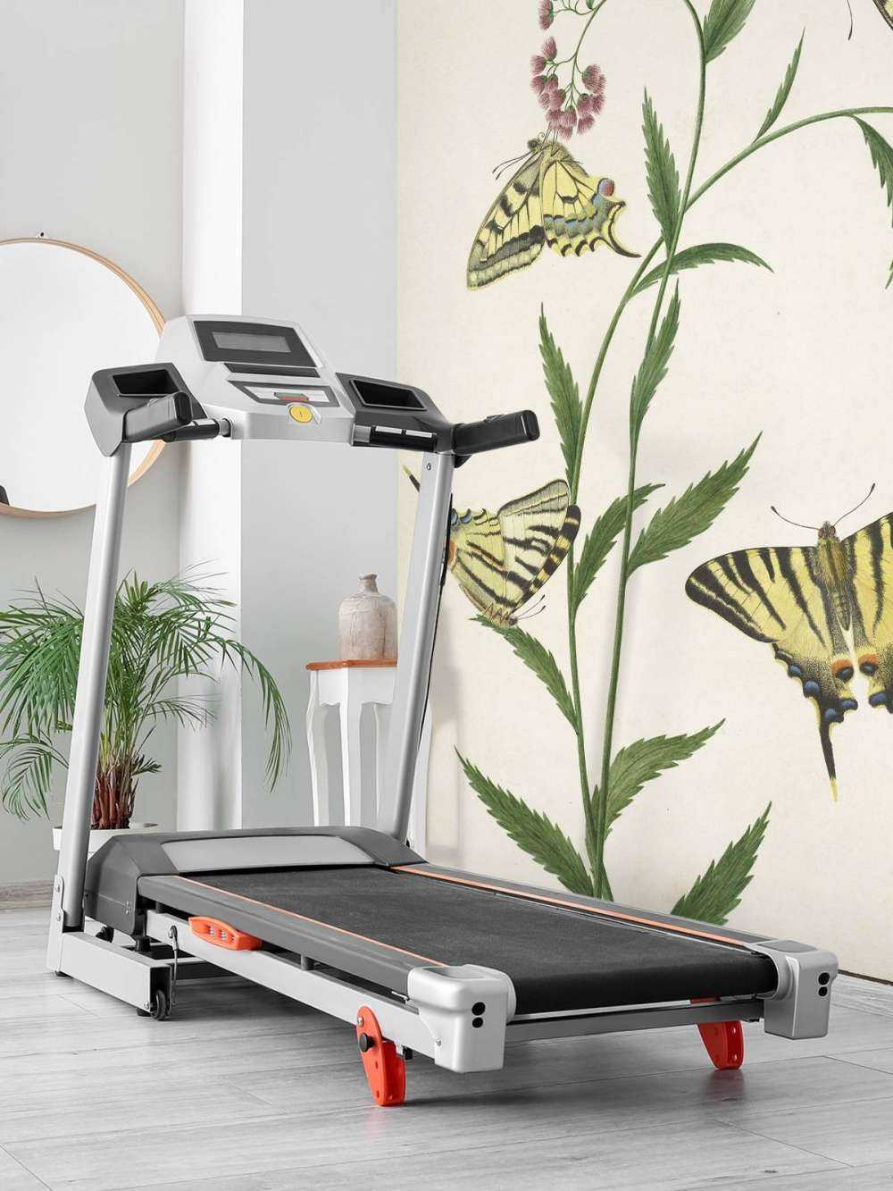 Quattro farfalle sui fiori, Paulus Knogh