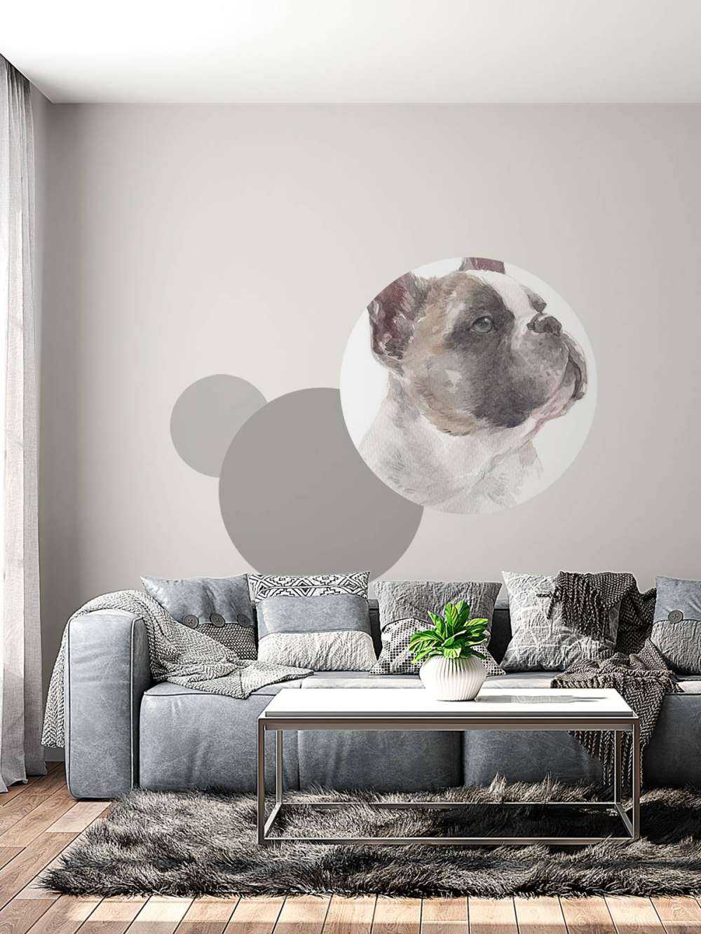 Bulldog francese ad acquerello