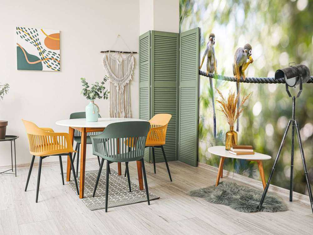 Scimmie scoiattolo su corda