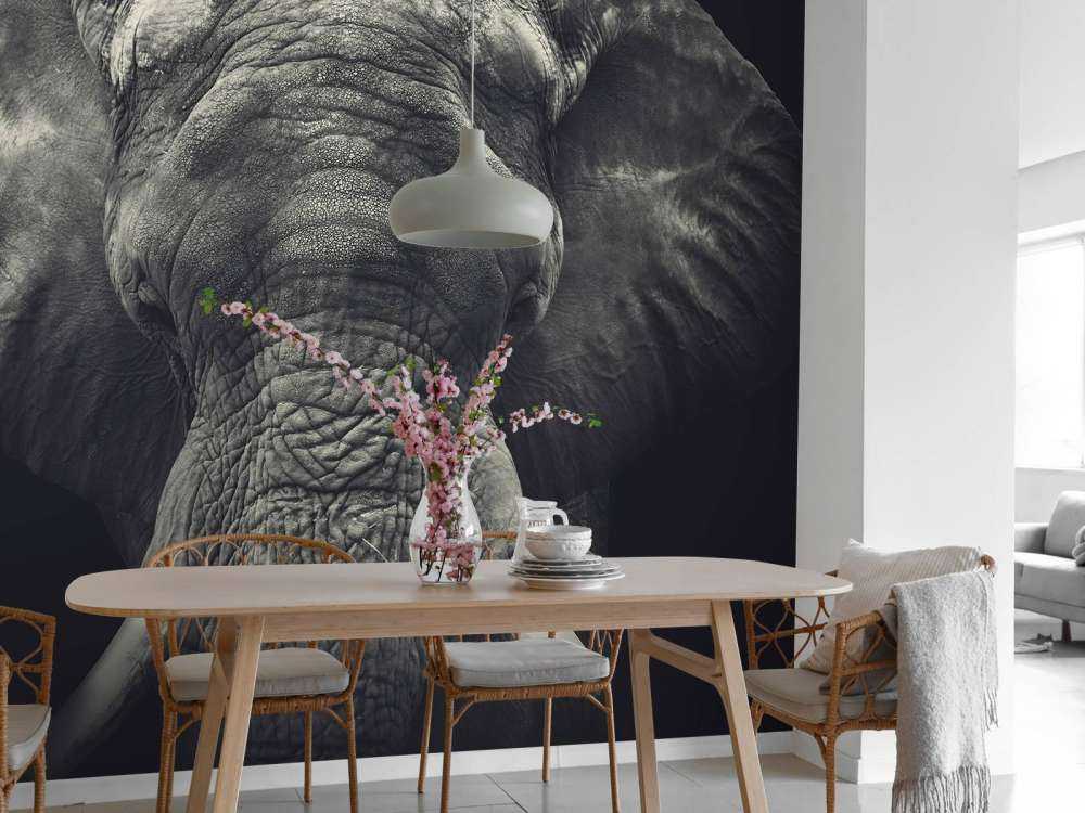 Primo piano di un elefante