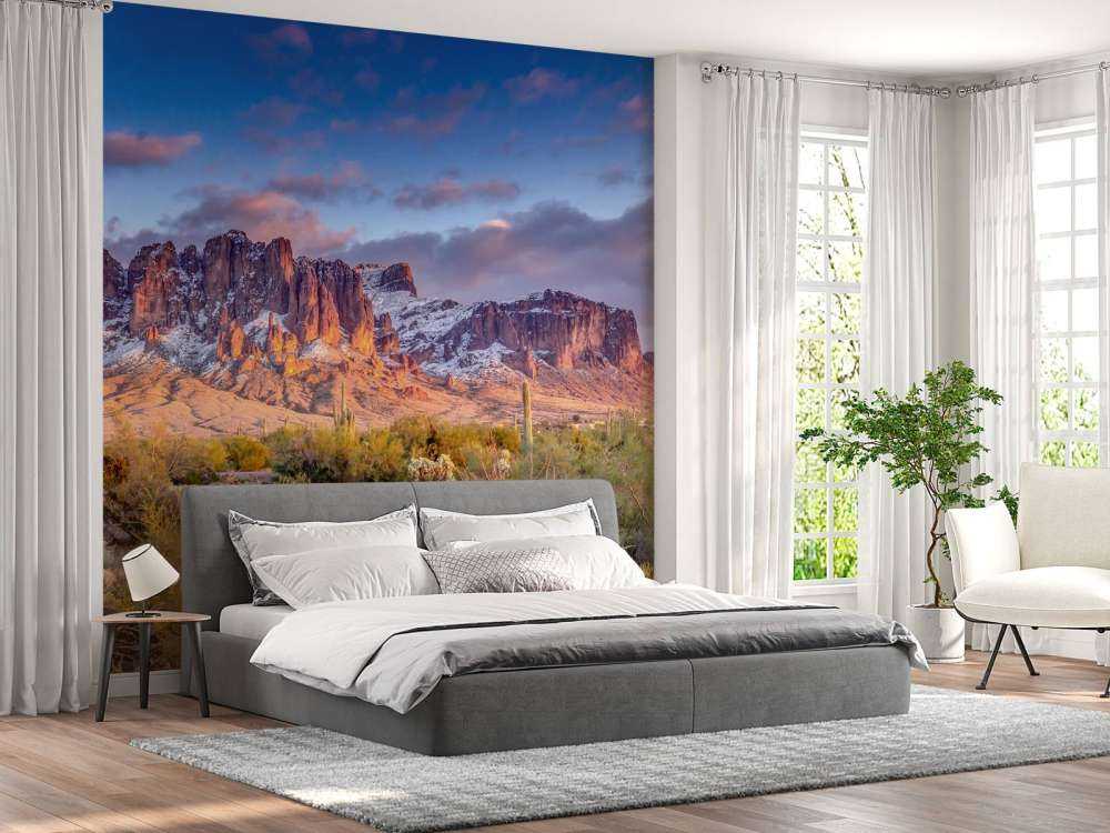 Cactus in un paesaggio montano