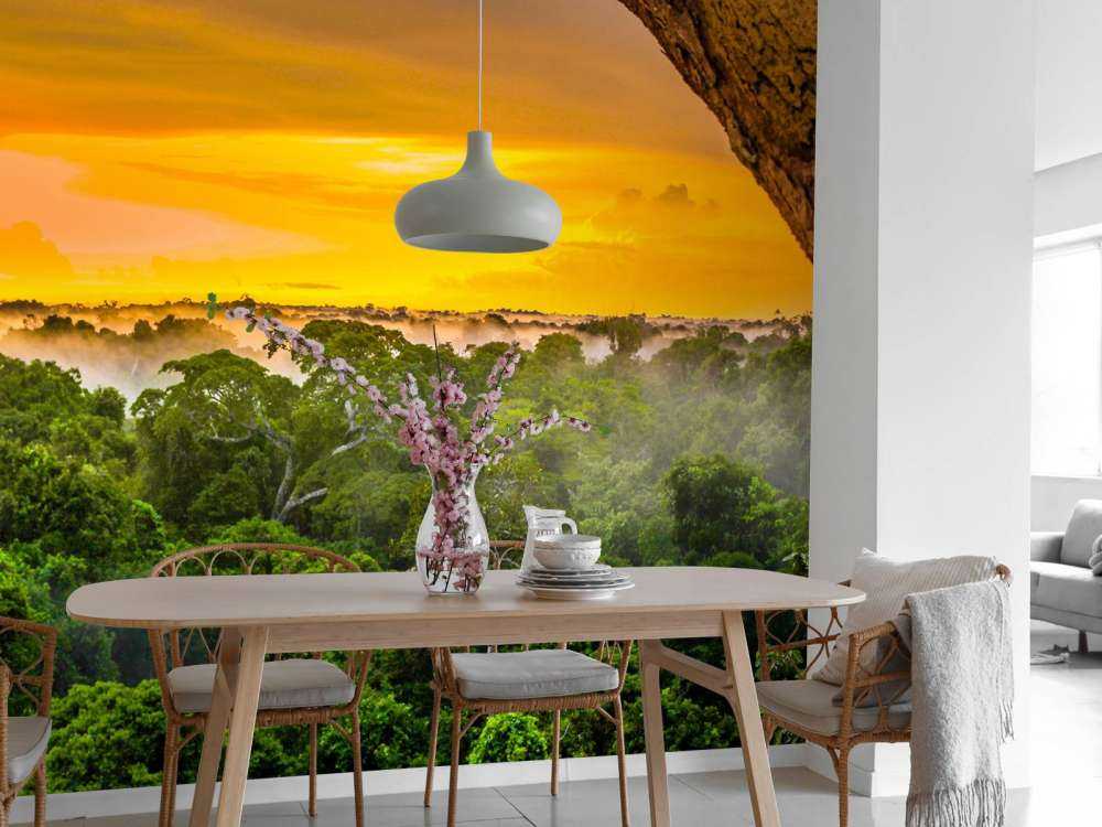 Foresta pluviale in Brasile 