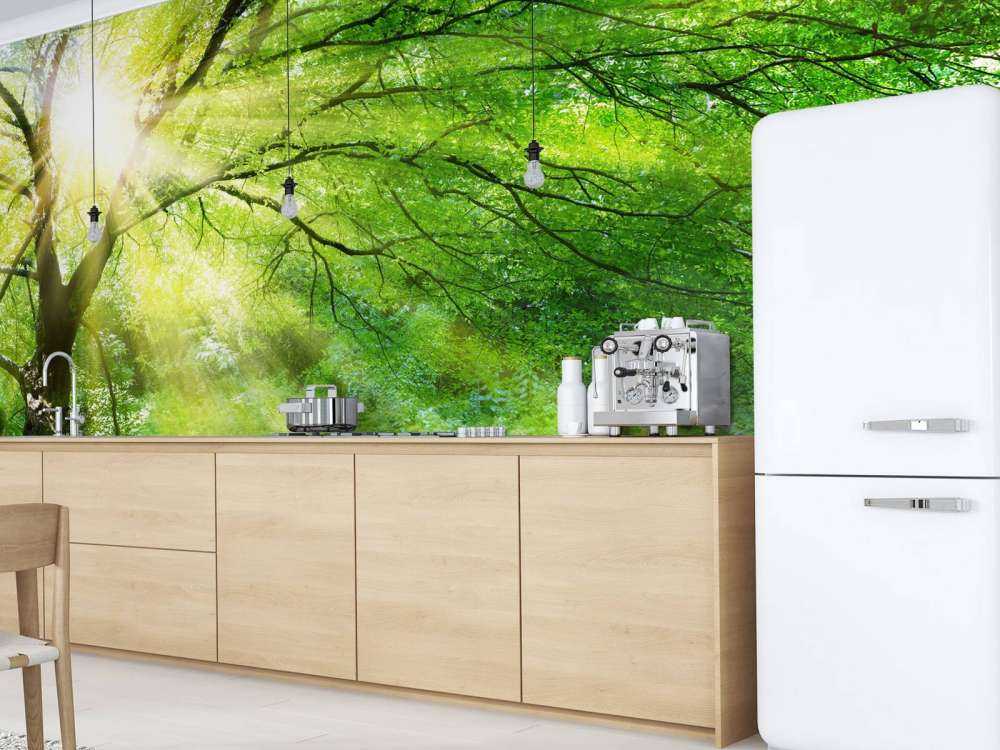 Grande albero con sole