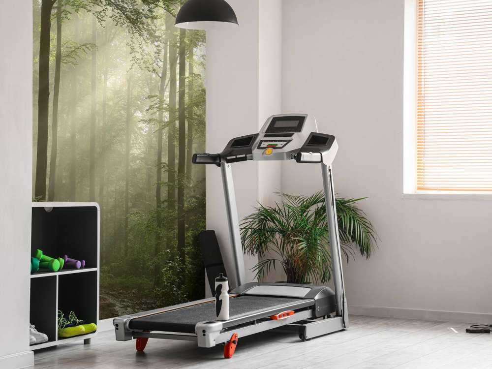 Foresta verde nella nebbia