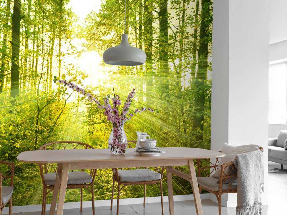 Il sole in una foresta verde