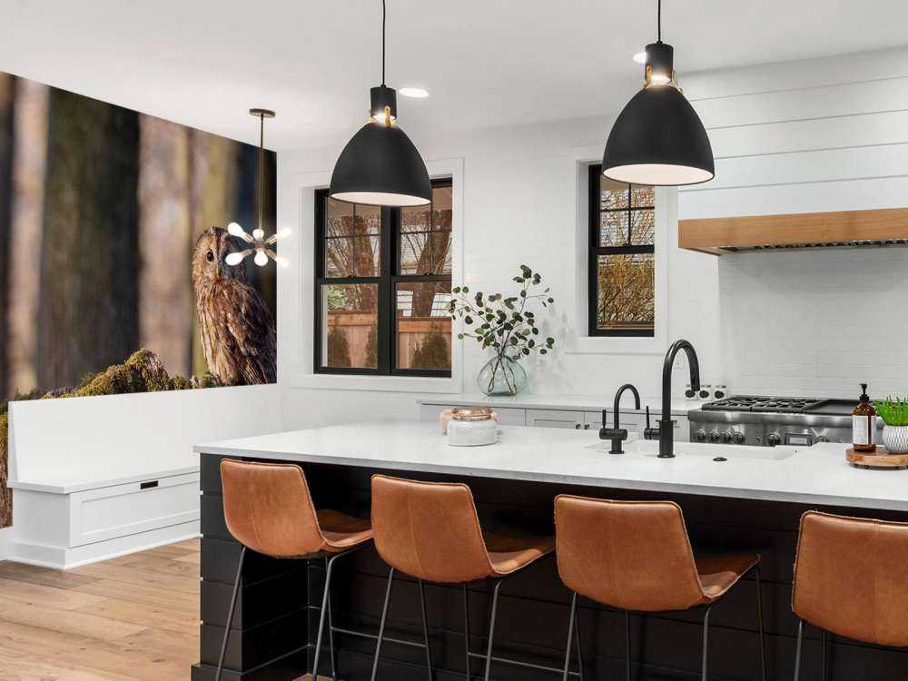 Piccolo gufo su un albero rotto