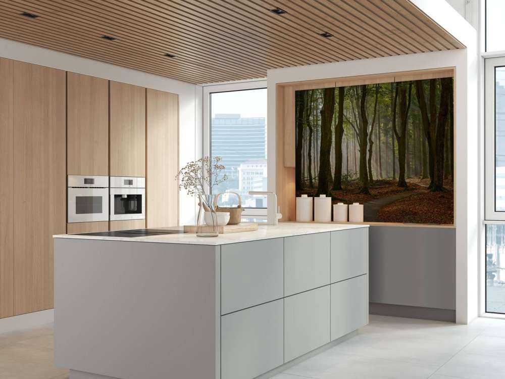 Raggi di sole al percorso attraverso la foresta