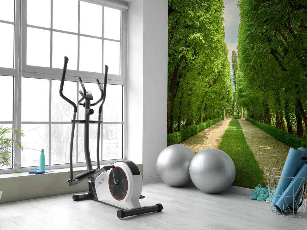 Vicolo verde con ghiaia