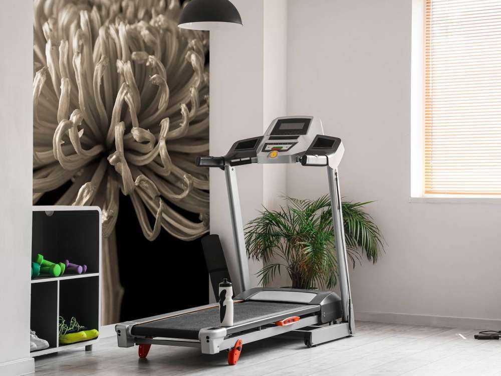 Grande fiore di cosmo