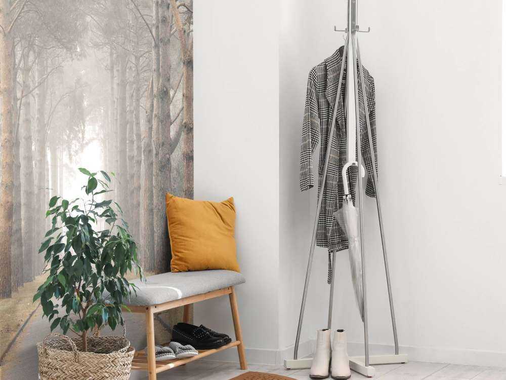 Foresta nella nebbia