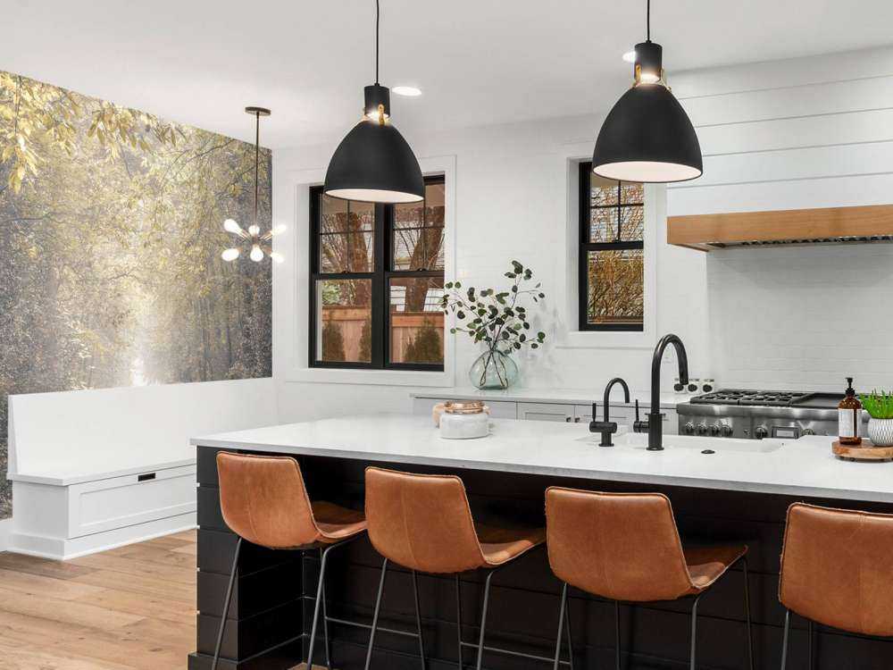 Sentiero attraverso una foresta deserta