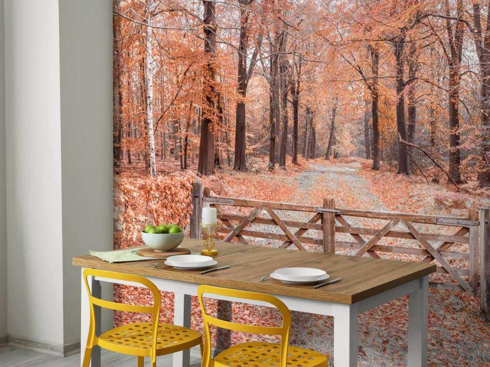 Passaggio alla foresta autunnale