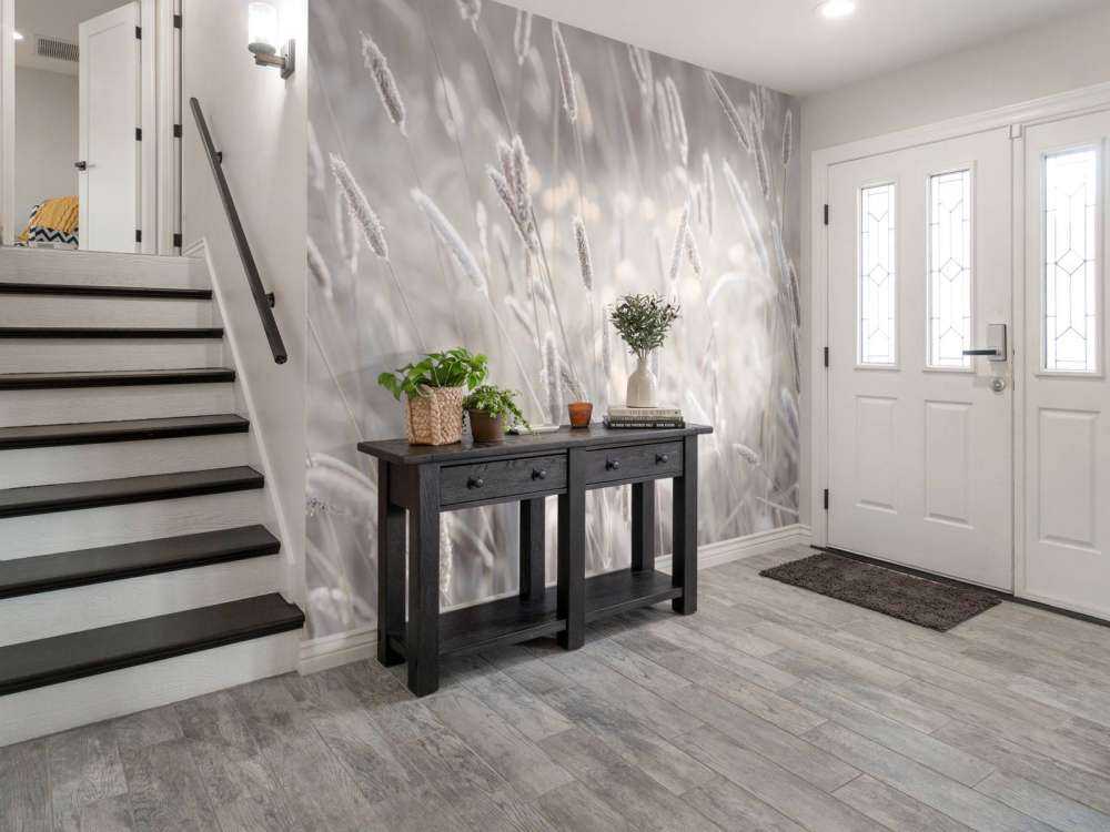 Primo piano di un prato