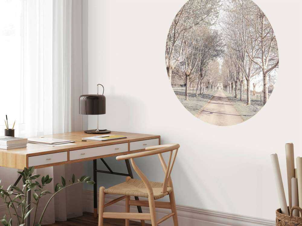 Sentiero tra gli alberi