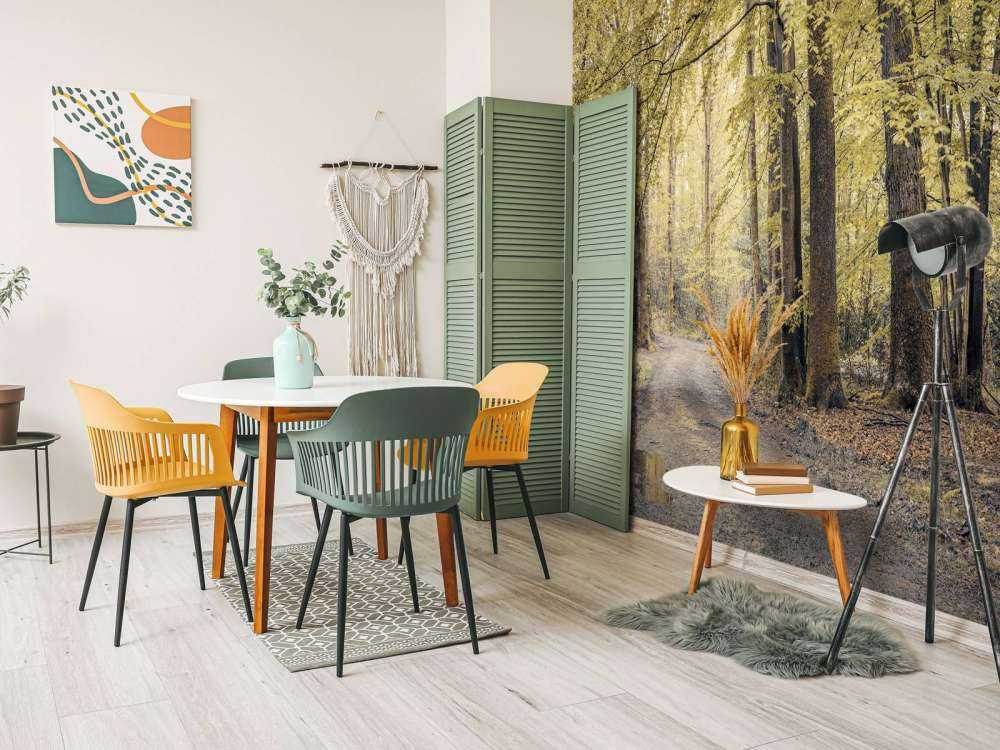 Sentiero nel verde della foresta