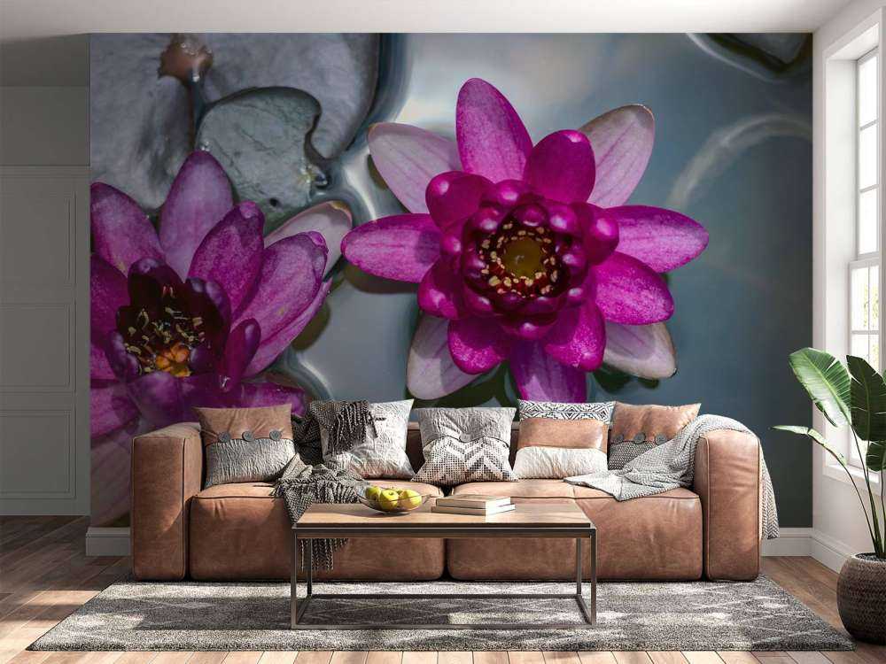 Fiore di loto rosa nell'acqua