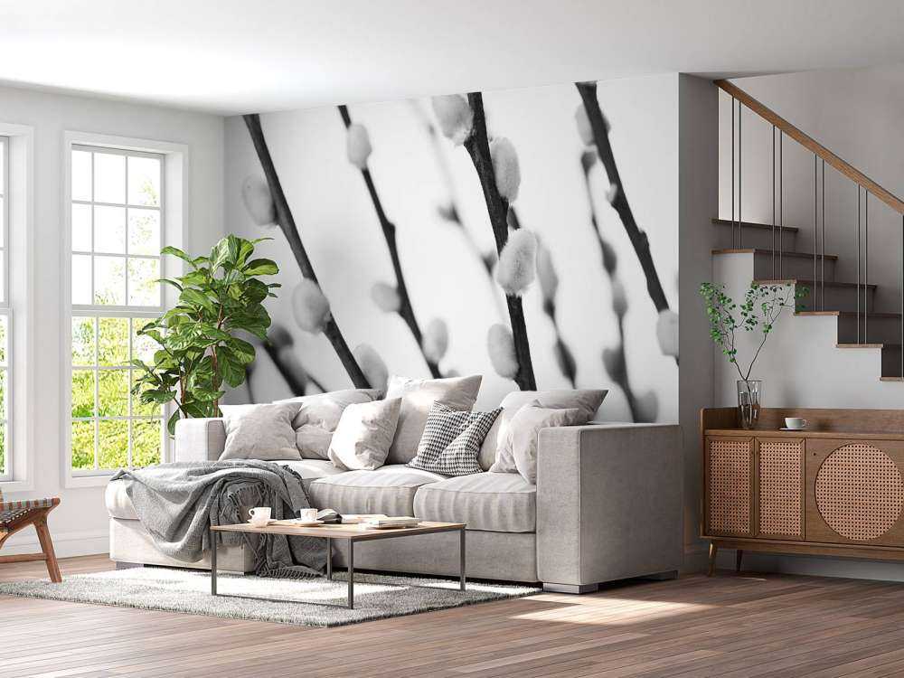 Salice bianco e nero