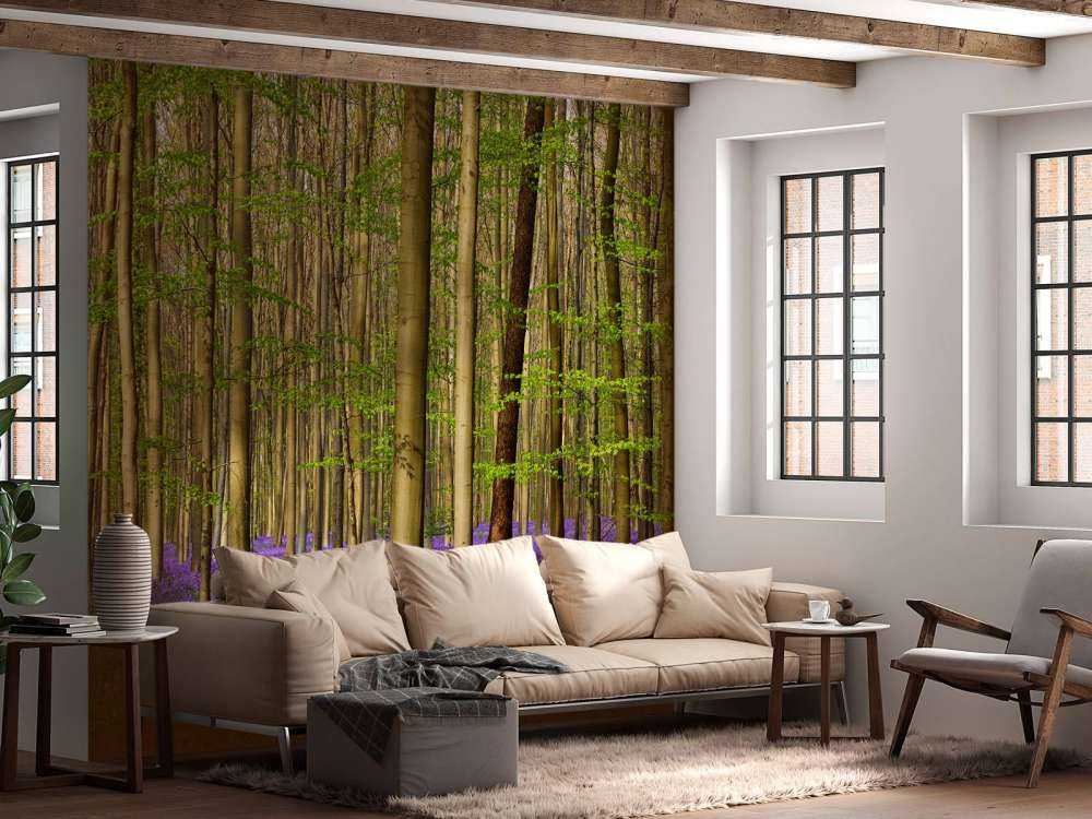 Foresta con giacinti di bosco