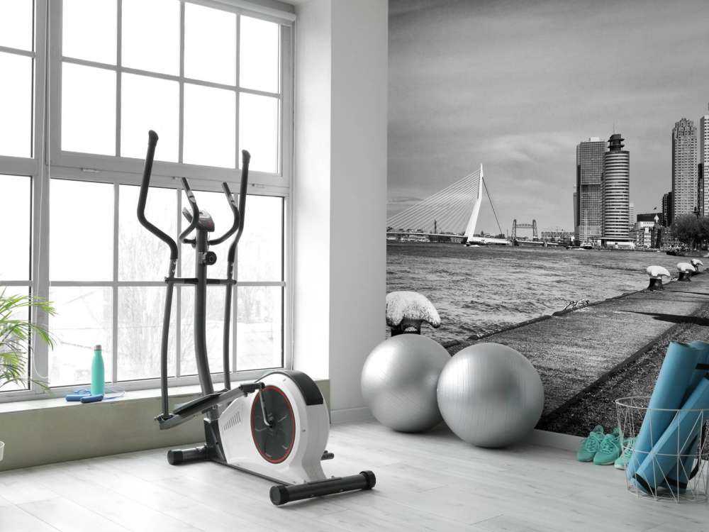 Città portuale mondiale Rotterdam 