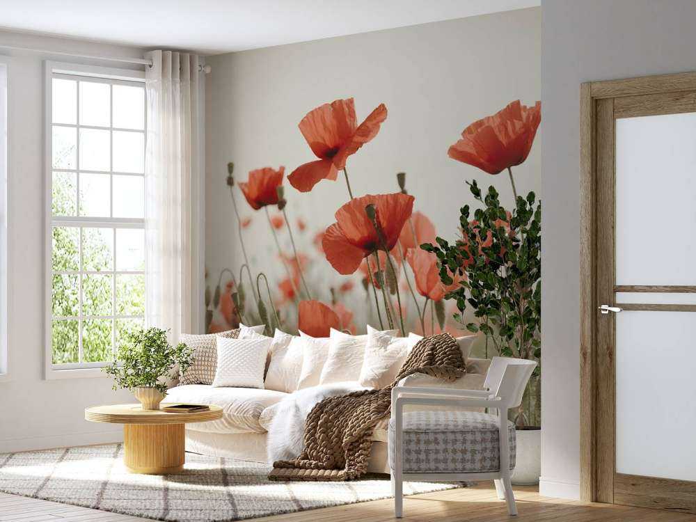 Papaveri in colori vintage