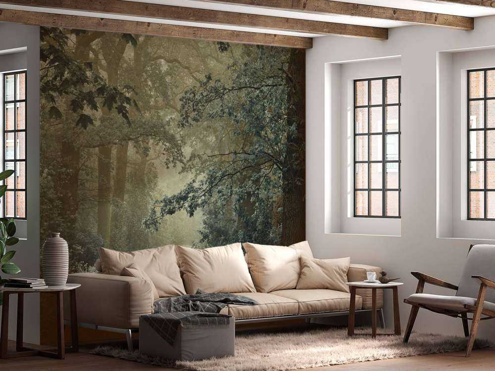 Sentiero nella foresta con nebbia