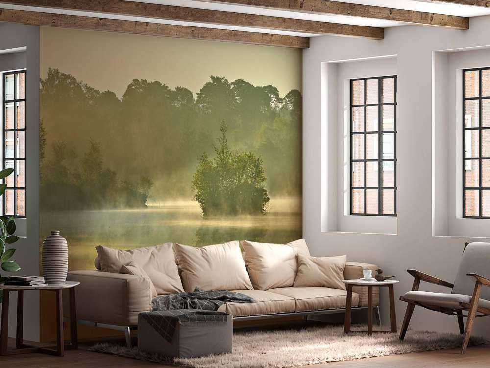 Nebulosa sopra un lago forestale