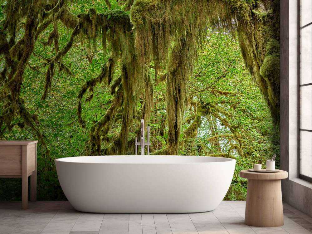 Muschio sui rami degli alberi