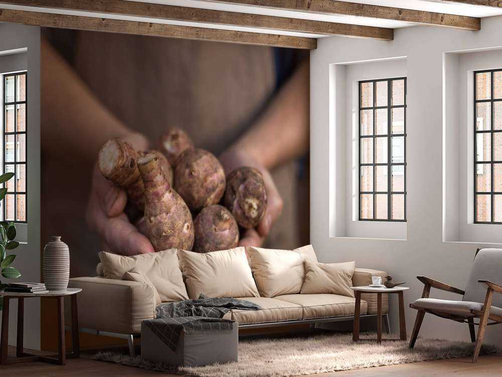 Prodotti della terra