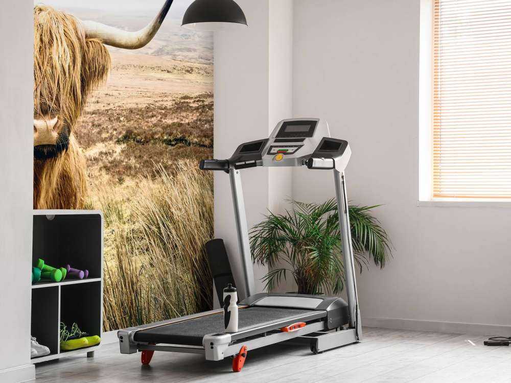 Highlander scozzese con canna