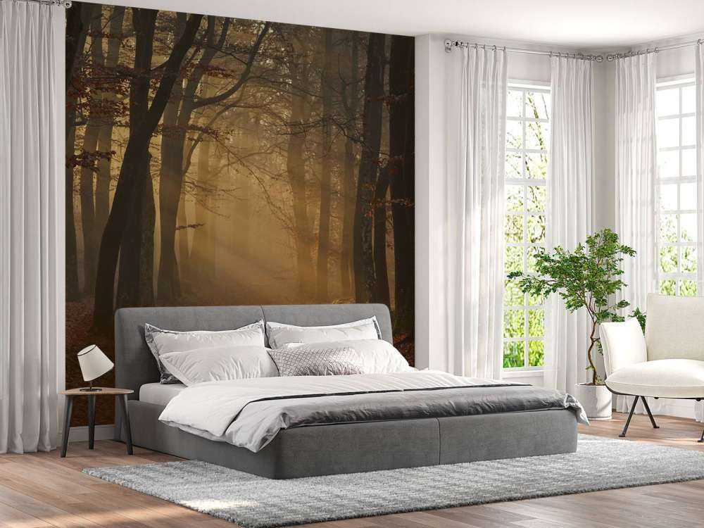 Misteriosa foresta d'autunno