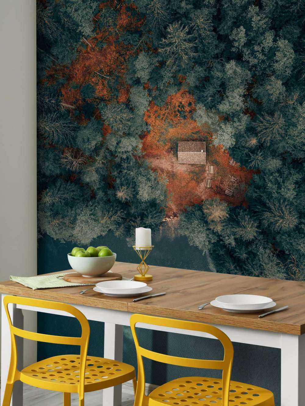 Cabina in mezzo alla foresta