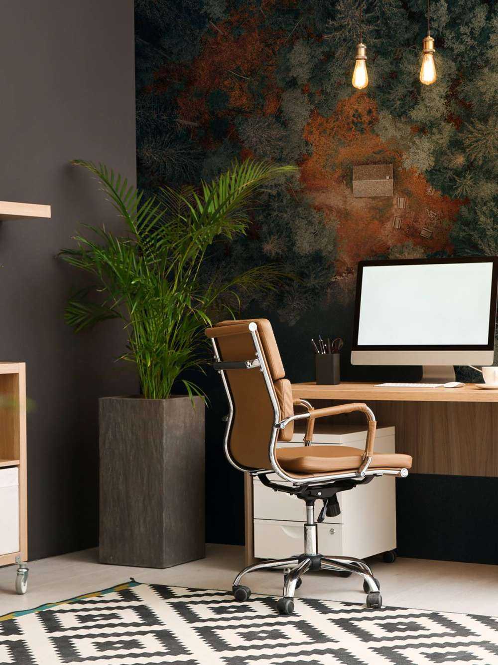 Cabina in mezzo alla foresta