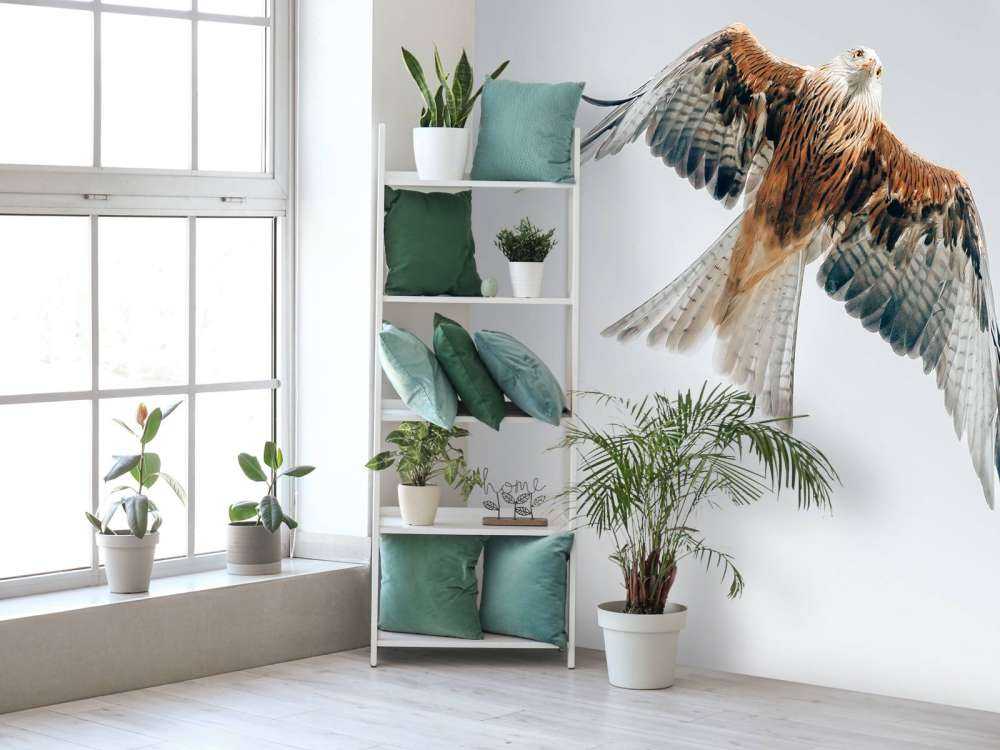 Aquilone rosso nel cielo