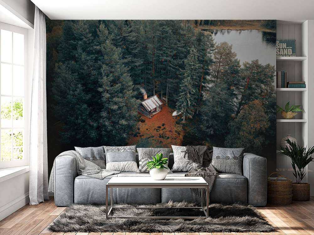 Capanna circondata da foresta e laghi