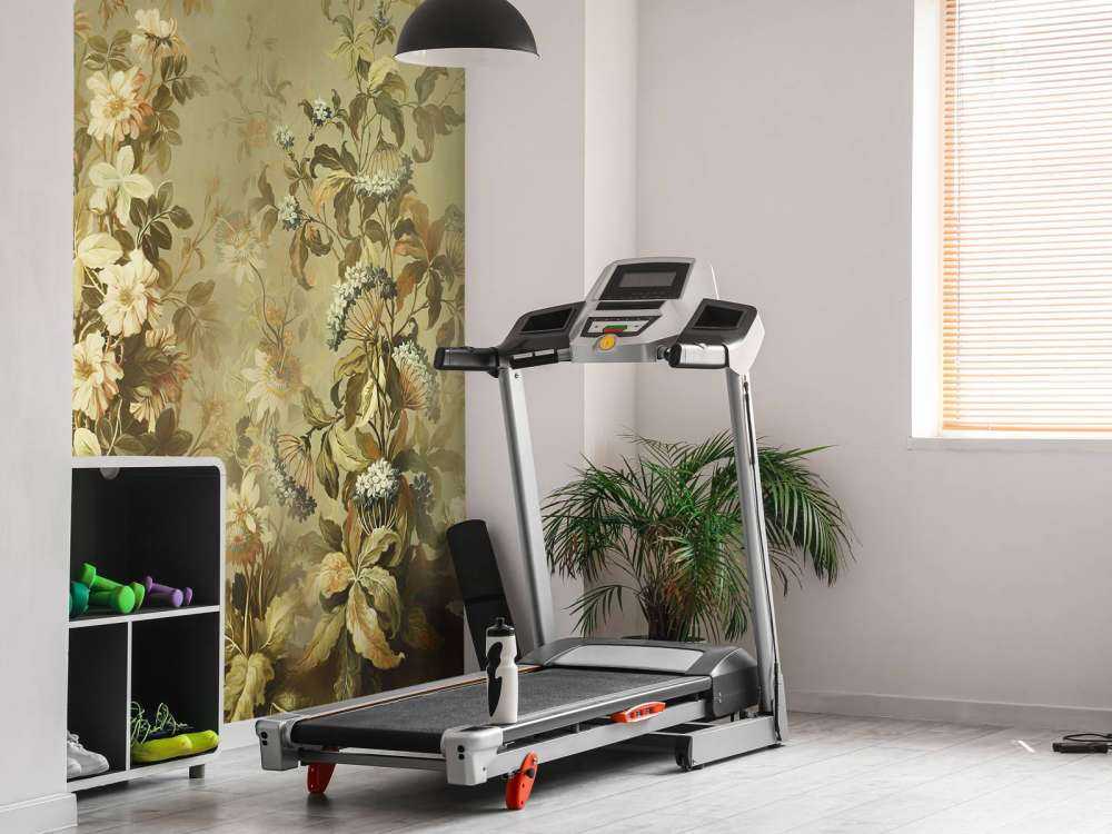 Clematis Verde Oliva Vintage