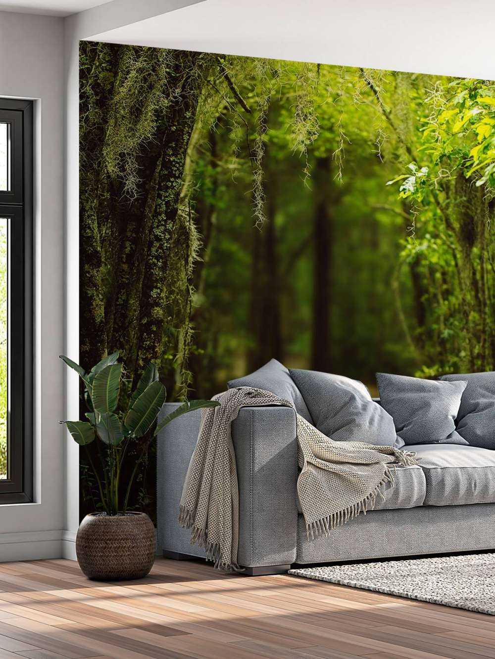 Foresta spagnola piena di muschio