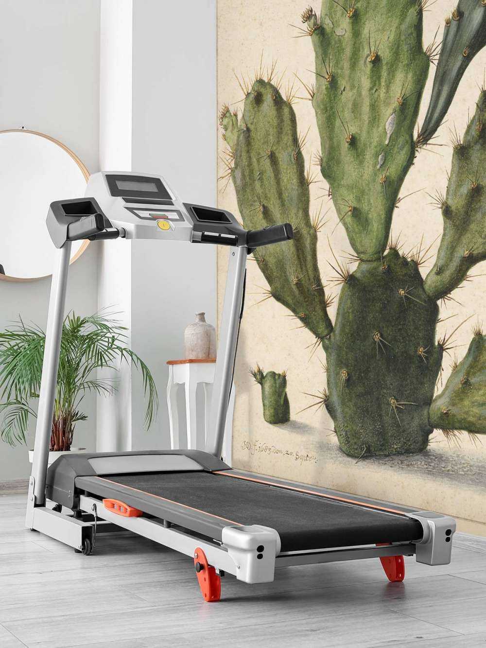 Cactus di fico in fiore