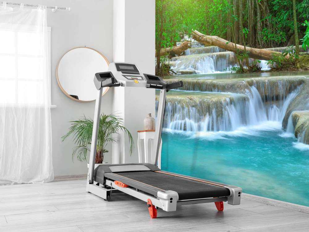 Ampia cascata nella foresta