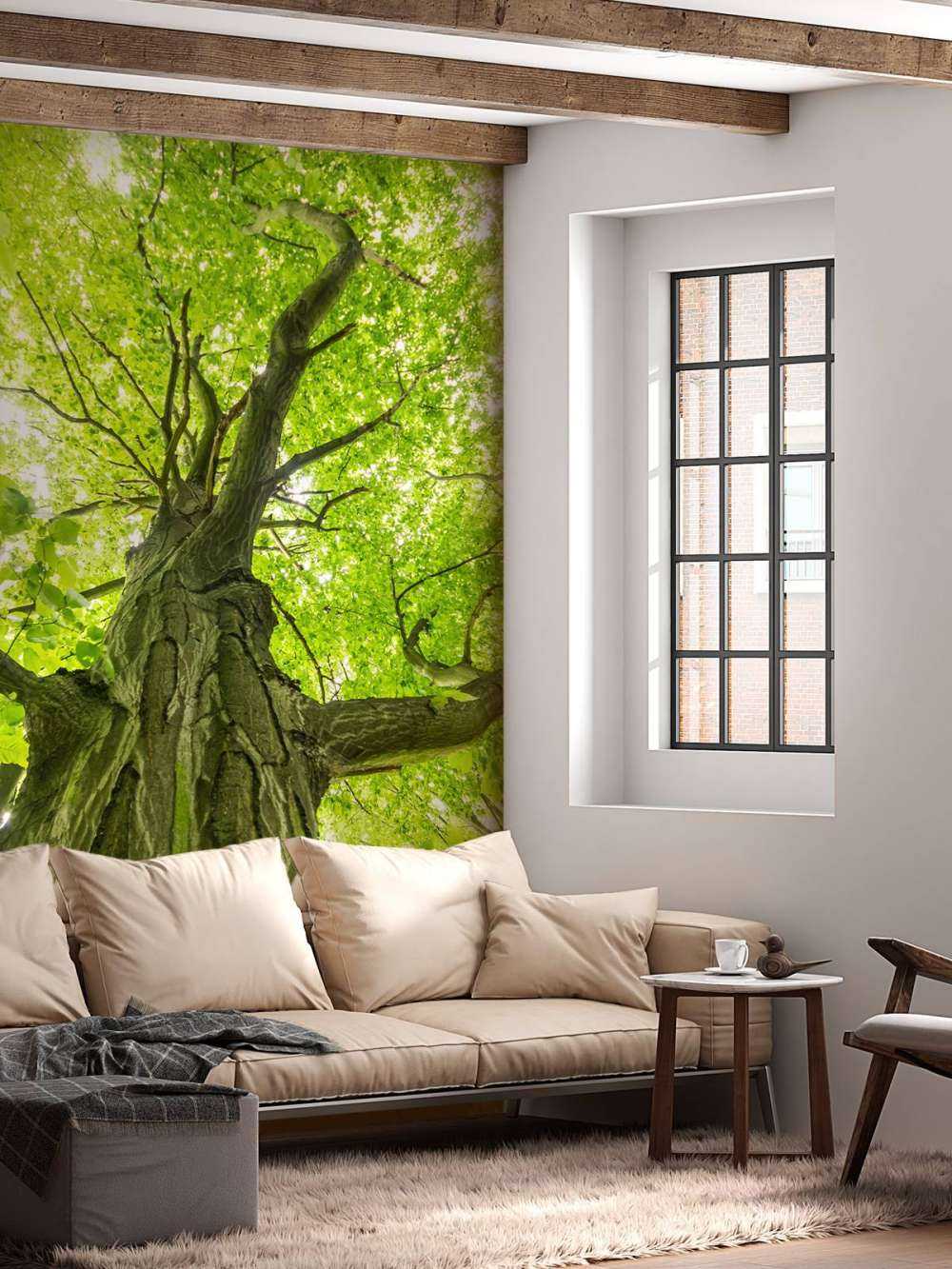 Grande albero nella foresta