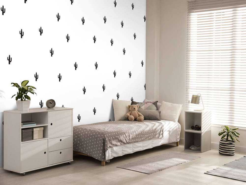 Cactus in bianco e nero